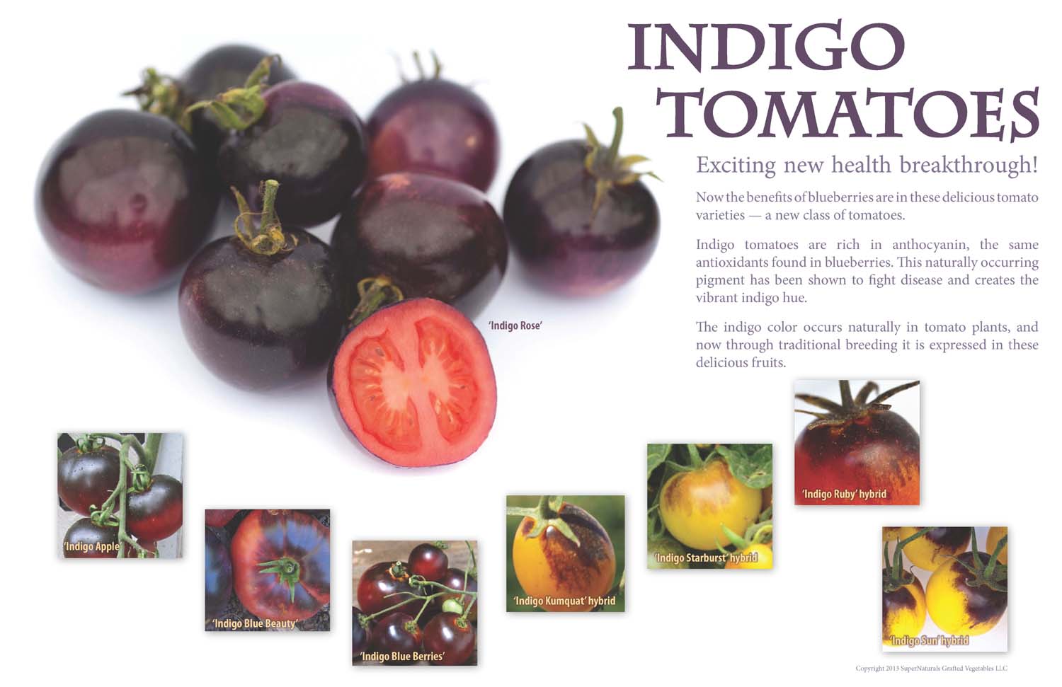 Indigo tomatoes